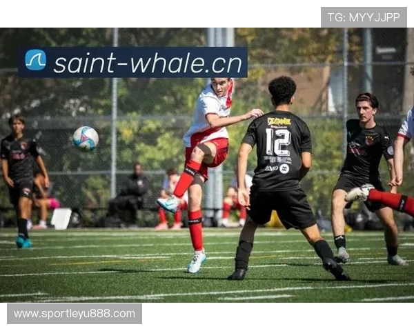 乐鱼体育app官网入口手机版全面指南,轻松登录享受多元体育赛事直播体验 乐鱼体育app官网入口手机版全面指南,轻松登录享受多元体育赛事直播体验